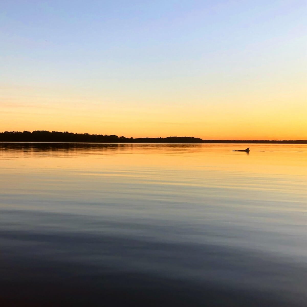 Romantic Sunset Cruise