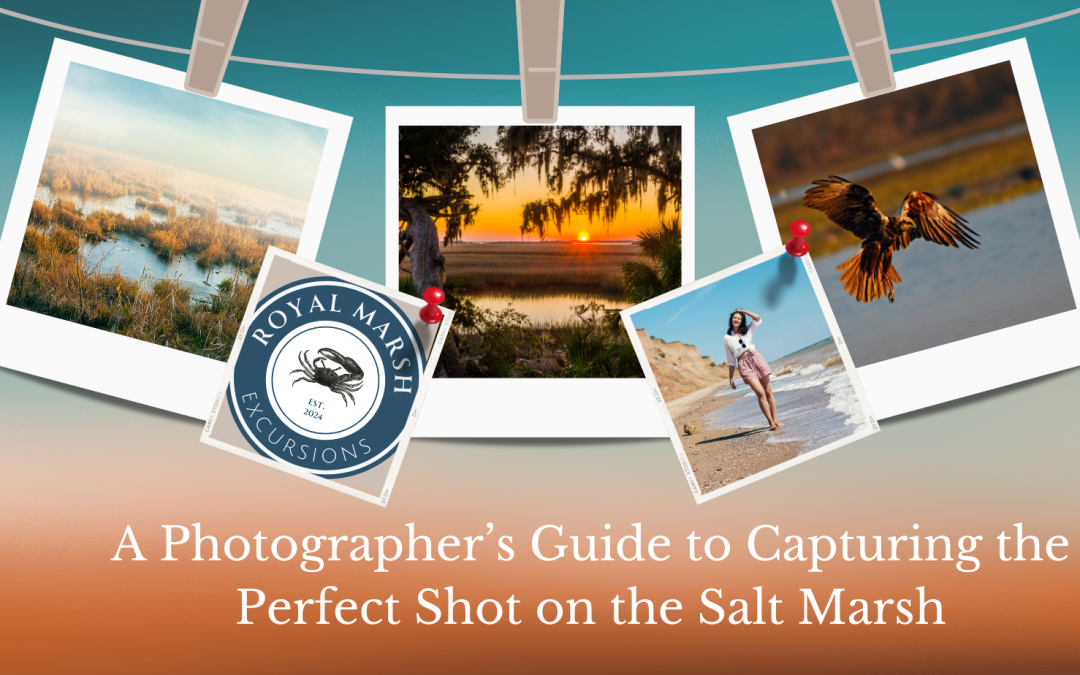 A Photographer’s Guide to Capturing the Perfect Shot on the Salt Marsh