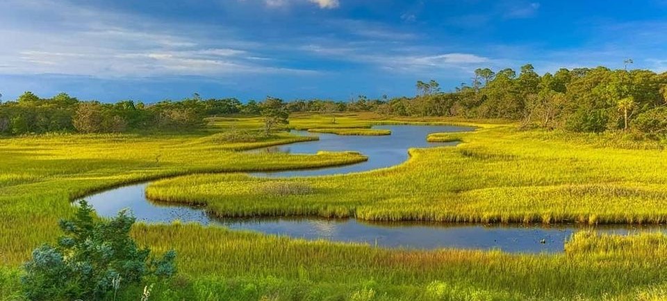 Salt Marsh History Tour